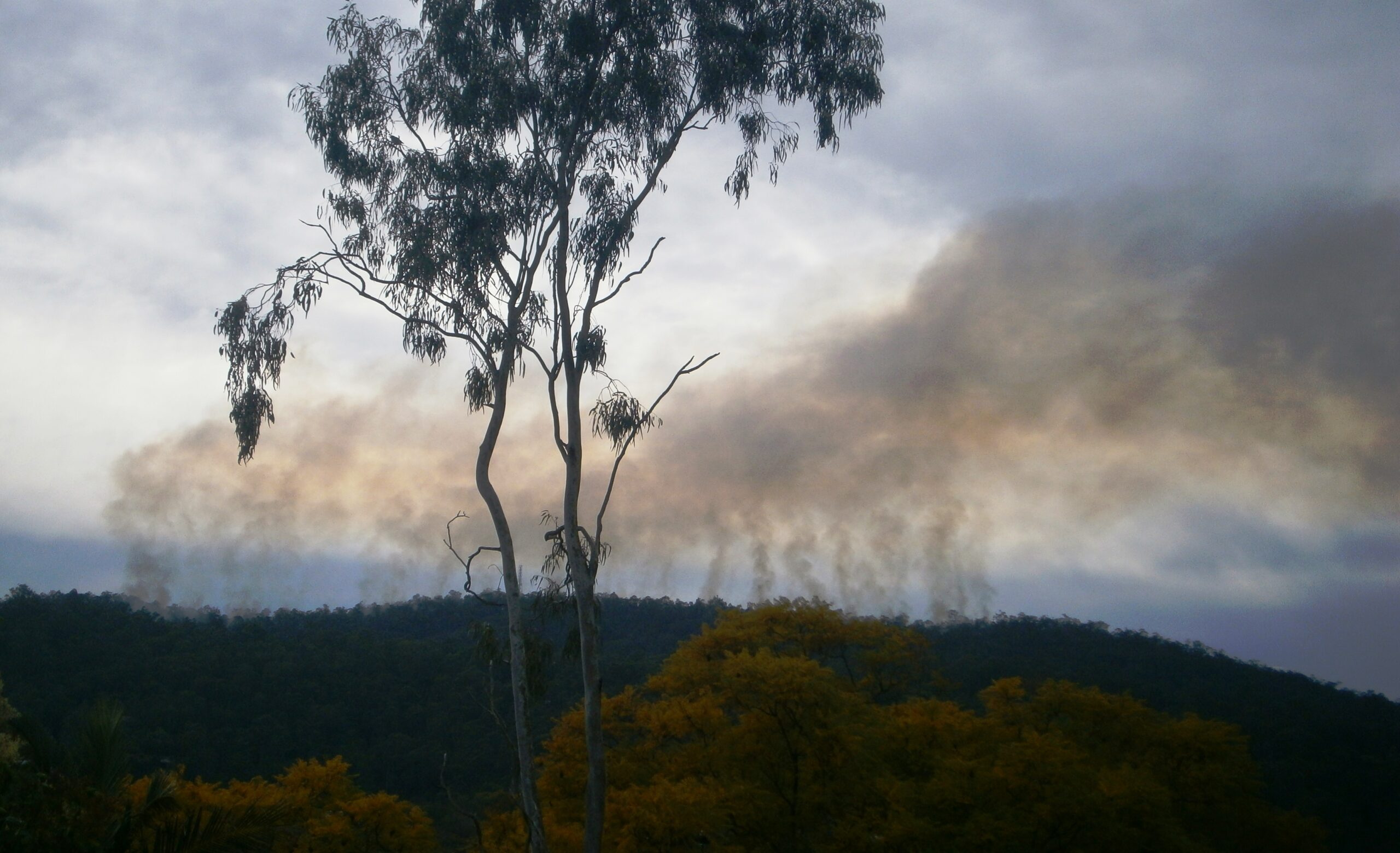 Plume Merger